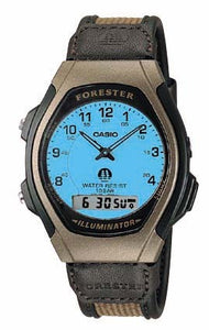 Casio FT600WB-5BV
