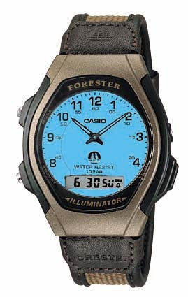 Casio FT600WB-5BV